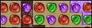 4 Elements 2